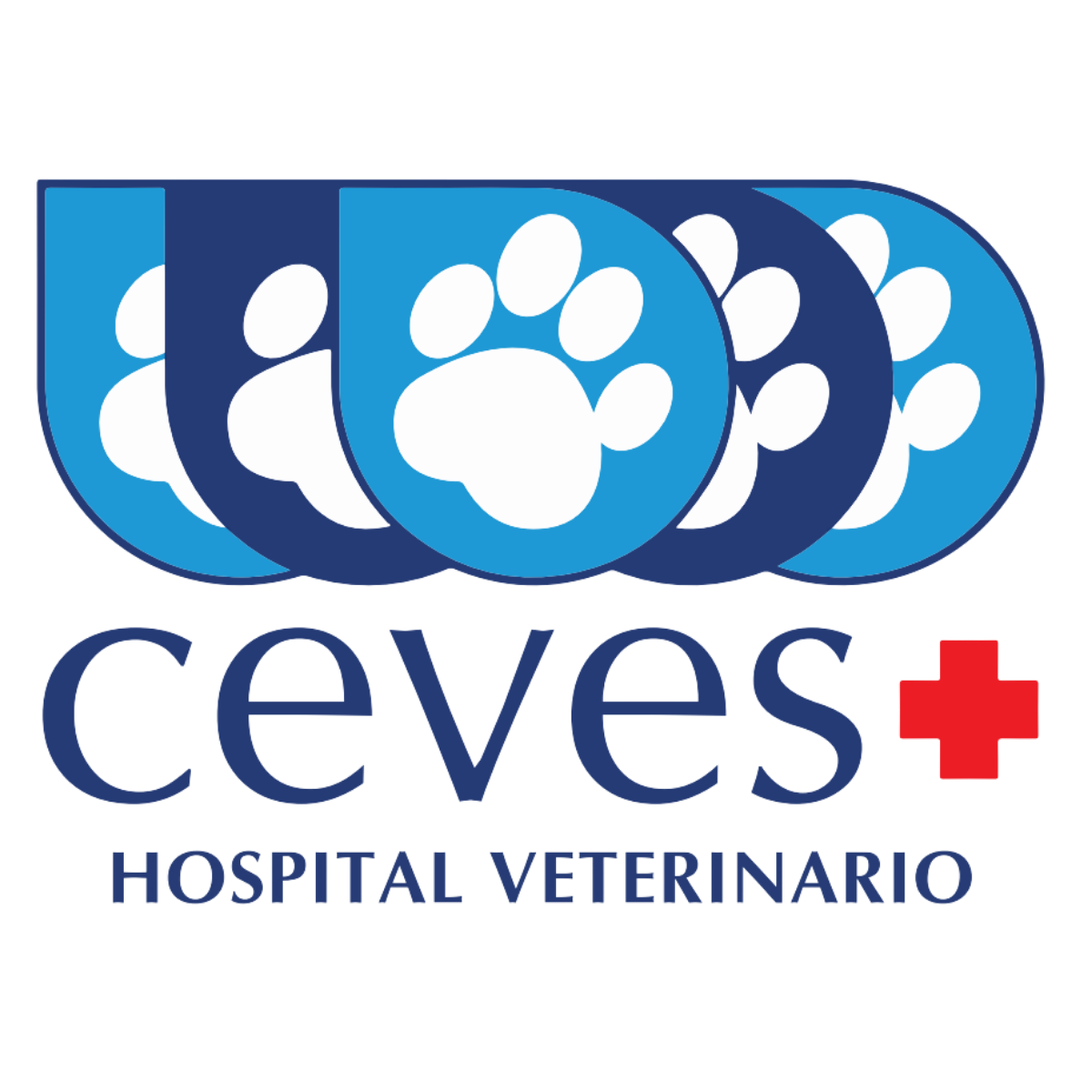 CEVES Hospital Veterinario